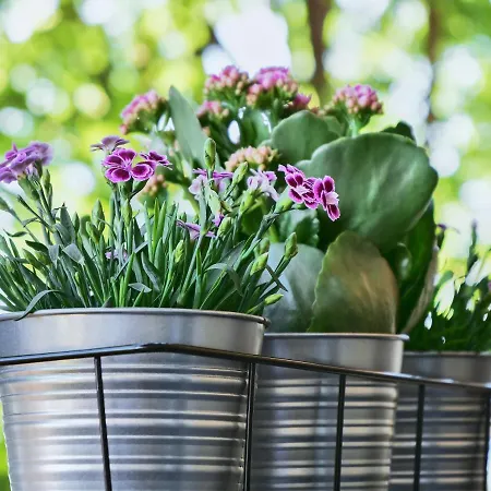 Schiller I - Zentrum