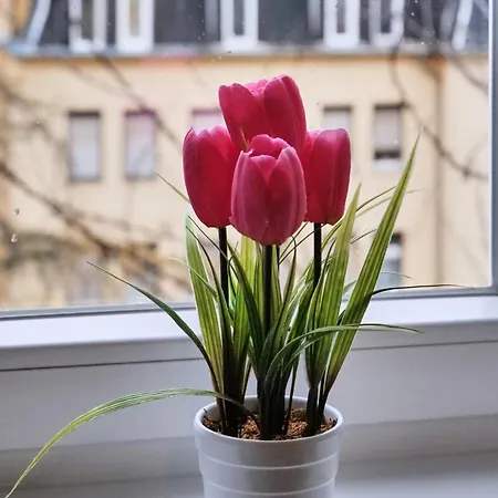 Raha - Schiller I - Nah Zentrum - Balkon - Vollausstattung *