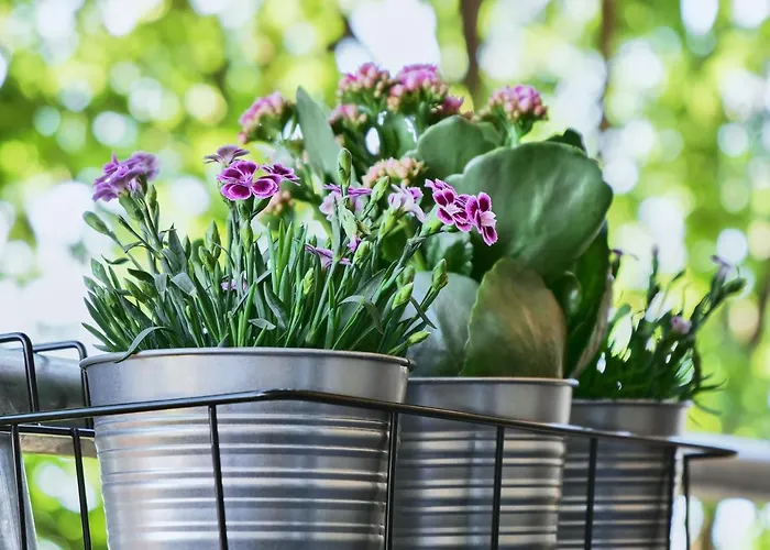 Schiller I - Zentrum